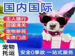 新桥航空运输国际宠物托运 【国